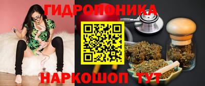 СК Пушкино