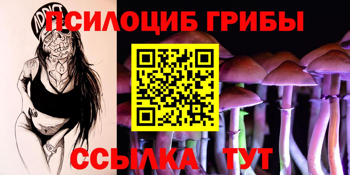 Галлюциногенные грибы MAGIC MUSHROOMS  Вход с VPN  Ревда 